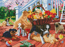 將圖片載入圖庫檢視器 puppy mischief preview by Create Love Share
